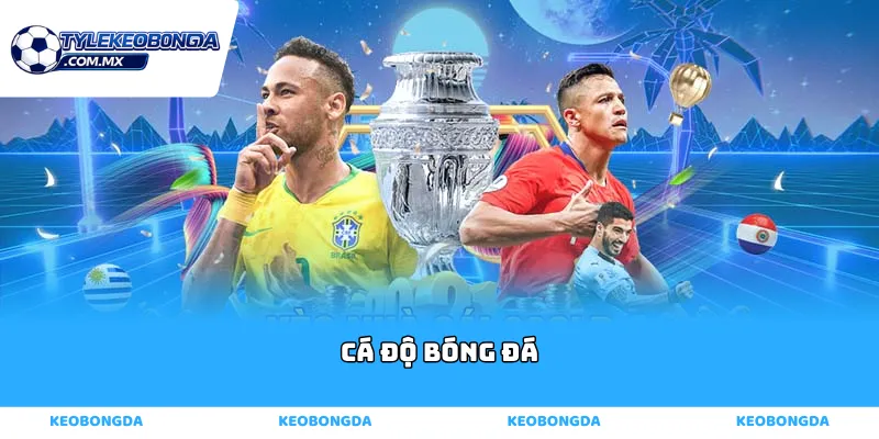 cá độ bóng đá