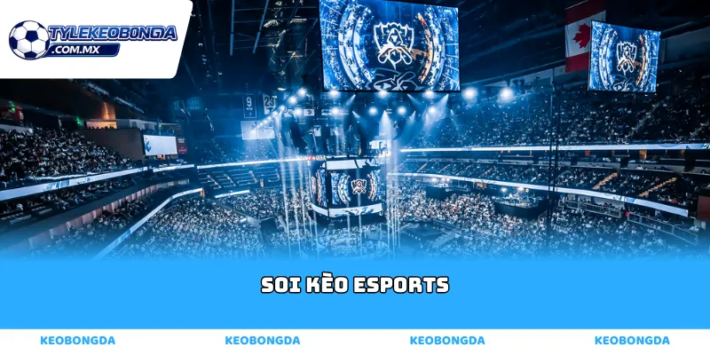 soi kèo esports